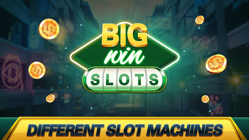 9br bet